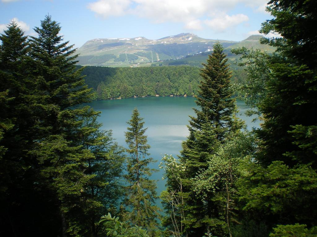 Вилла Les Chenets Шамбон-сюр-Лак Экстерьер фото